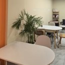 완산-43 | 중앙동 카페 전주 43조지커피 후기