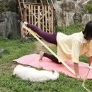 밴드요가1 이미지