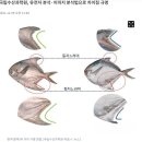 용산아리랑 두 걸음 ❺ 이태원 제일시장 이미지