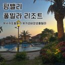 팜밸리리조트 | 제주 서귀포 가성비 숙소, 감성 풀빌라 리조트 &#34; 팜밸리 풀빌라 리조트 &#34; (내돈내산, 솔직후기)
