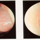 조한의원 이미지