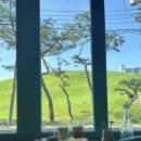 가락로125번길 | 김해 봉리단길카페 멋진 왕릉뷰에 조용한 북카페 멜로우커피