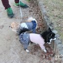 개린이 집합소 이미지