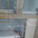 지안동물의료센터 이미지