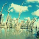 삼차농장 이미지