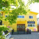 플러스애견미용실 이미지