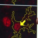 스트레스와 정신건강 이미지