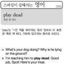 Play dead (죽은 체 하다) 이미지