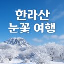 눈꽃여행 - 무주군 내배방길 22 | 눈꽃여행