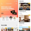 펫미 반려견유치원 이미지