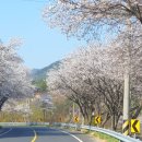 법원공인중개사사무소 이미지