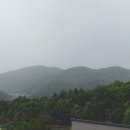 스테이 경화 이미지