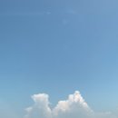 정은상회