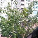 강동-길동-1275 이미지