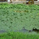 하얀마을어린이공원 이미지