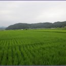 교학초등학교 이미지