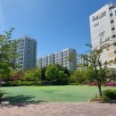 세곡-115 이미지