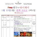 효성항공여행사