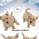 오픈주 하남스타필드점 이미지