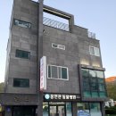 홍현관동물병원 티스토리