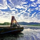 우포따오기 사진전 이미지