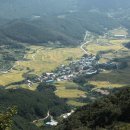 황금빛 목장 이미지