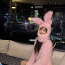 핑크토끼 이미지