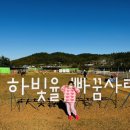 빠꿈사리 이미지