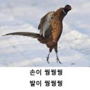 토스트 굽는 사람들 금천광장점 | 12_시뷔월 너무 춥잖아 손이 꿩꿩꿩 발이 꿩꿩꿩