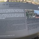 도련지석묘 1호 이미지