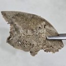 소문난떡볶이순대집 - 동구 백룡로 3-1 | 소문난떡볶이순대집