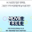 영화미용실 - 철원군 | 영화미용실