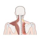 서문한의원 이미지
