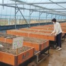 양산농장 이미지