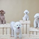 멋지개 예쁘개 이미지