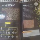 크레아타