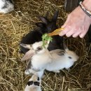 동열목장 이미지