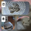 제이디바이오 | [15살 노령묘 땅콩이의 장 건강과 신장 관리] 리틀포우 트리플 바이오 컴플리트로 건강하게 챙겨주기