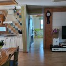 님 바래기 이미지