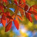 물금센트럴치과의원 이미지