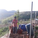 다시마 흑염소 이미지