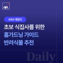 초보식물 집사들을 위한 홈가드닝 | [AXA 데일리] 초보 식집사를 위한 4월 홈가드닝 가이드, 분갈이 방법과 반려식물 추천 총정리