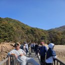 세무법인세강 이미지