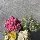 부산자유시장 | 부산꽃시장 부케 양정꽃시장 부산자유도매시장 후기 (주차정보/장단점)