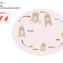 백현 동물병원 이미지