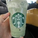 삼화농장 | 제주 스벅 한정 메뉴 스타벅스 제주삼화DT점 이용후기