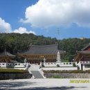 쌍둥이 농원 이미지