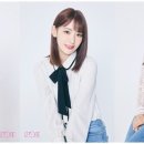 사쿠라