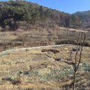 산과 자연의 쉼터 이미지