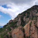 동산남성 이미지